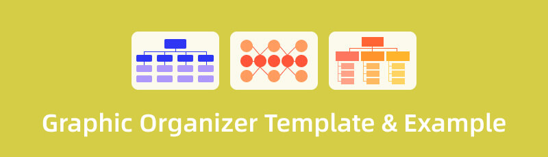 Graphic Organizer Template Example