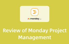 Instrumente de management de proiect Monday Review s