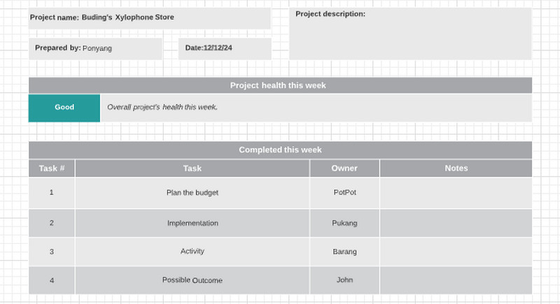 Project Status Example