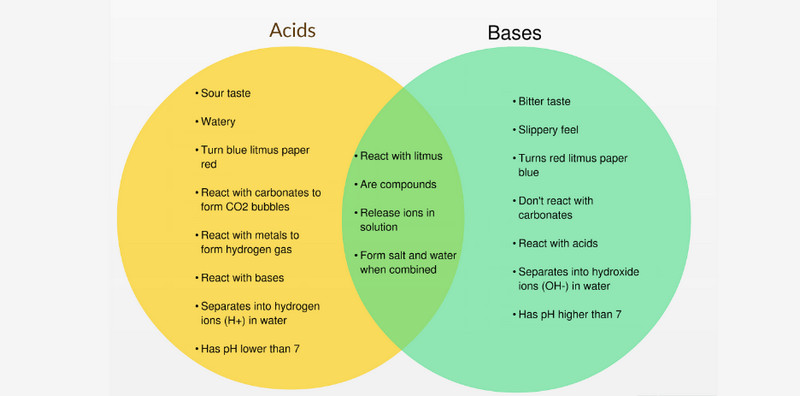 Venn Diagram Graphic Organizer