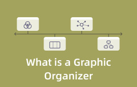 Kas yra grafinis organizatorius s