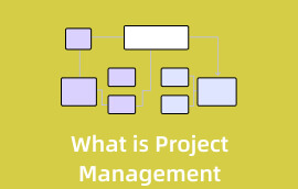 Wat is Projectmanagement s