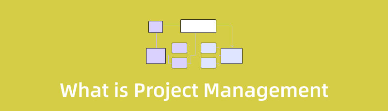 What is Project Management