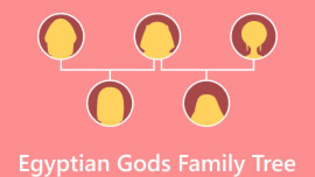 Қозған қынаптың ұзындығы