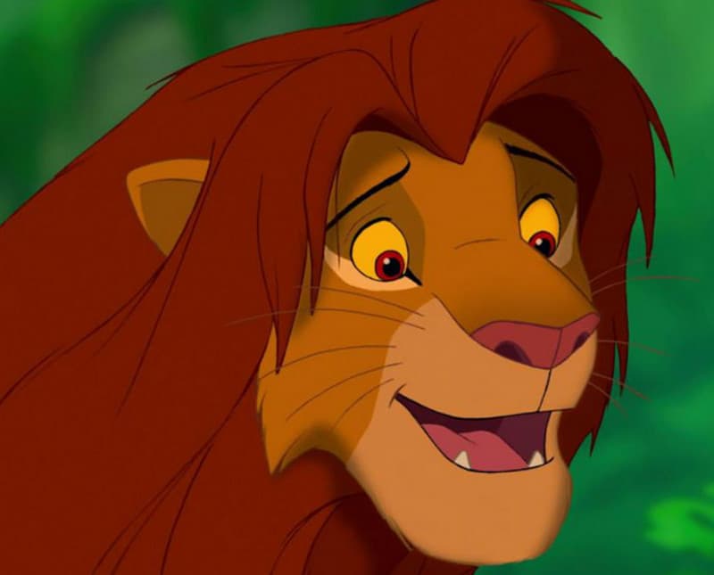 Lion King Characters Characteristics And Functions Pdf Infoupdate