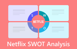 SWOT analýza Netflix