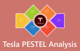 Tesla PESTEL analizė