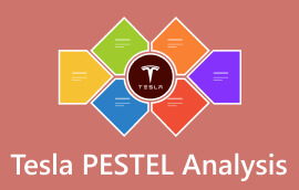 特斯拉PESTEL分析