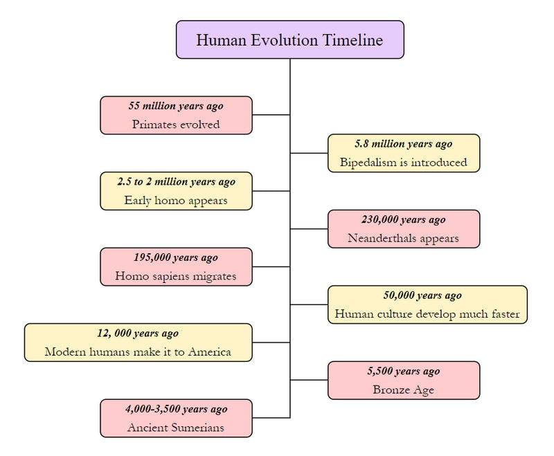 ภาพวิวัฒนาการของมนุษย์
