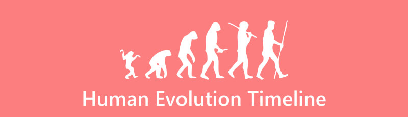 เส้นเวลาวิวัฒนาการของมนุษย์