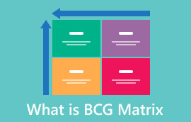 BCG Matrisi Nedir?