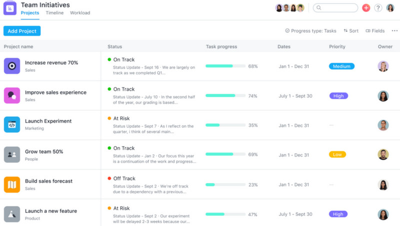 Asana Workflow Tool