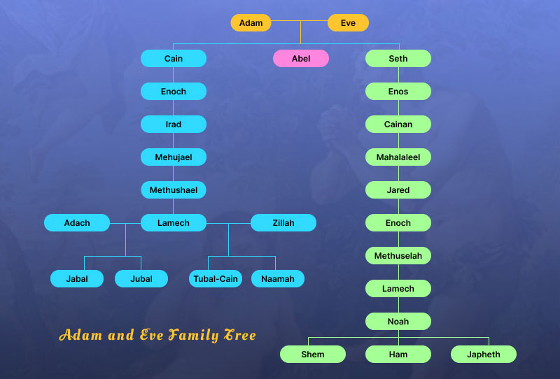 Drzewo genealogiczne Adama Ewy