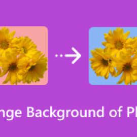 Метрода біреудің жатуы туралы порно видео