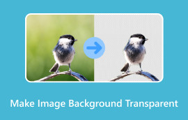 ఇమేజ్ బ్యాక్‌గ్రౌండ్‌ను పారదర్శకంగా చేయడం ఎలా