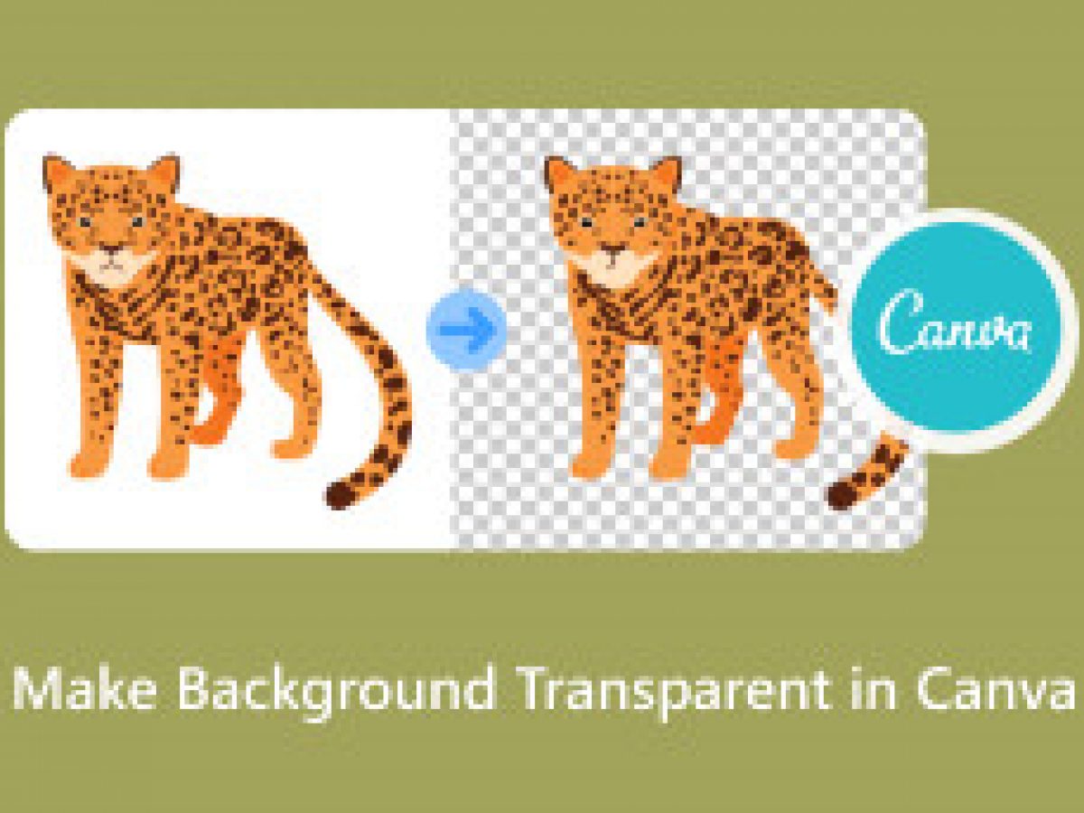 Saunada shaxsiy porno tomosha qiling