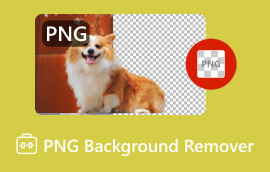 Gennemgå PNG Background Remover