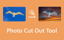 Photo Cut-out Tool