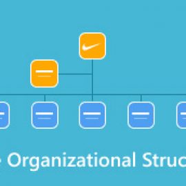 organizational structure of nike