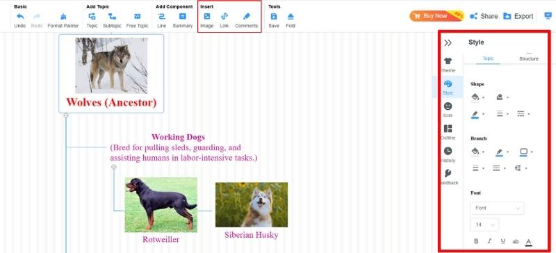 Add Colors And Images