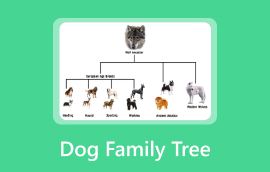 Dog Family Tree