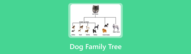Dog Family Tree