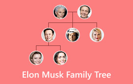 Elon Musk Family Tree