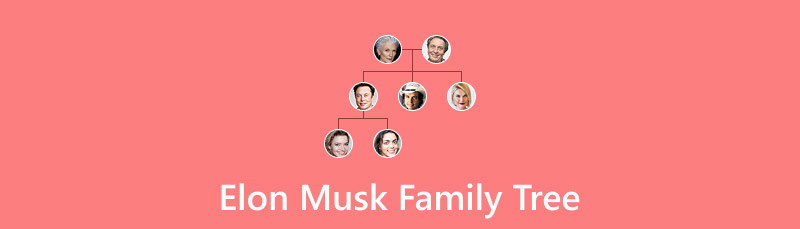 Elon Musk Family Tree