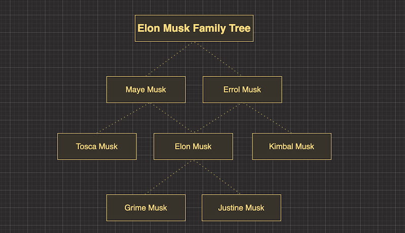 Mindonmap Elon Musk Family Tree