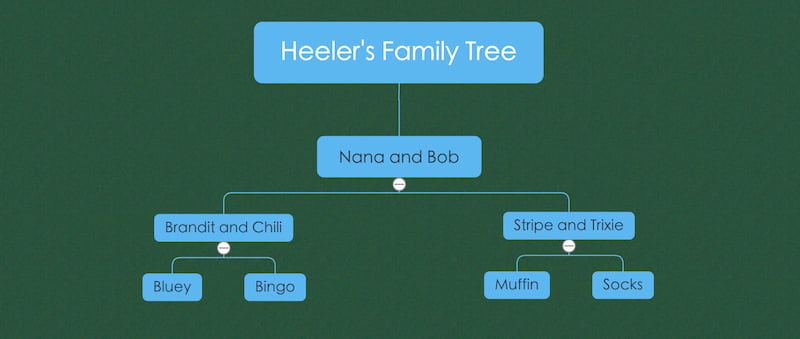 Arbre généalogique de Bluey