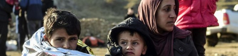 The Mahmoud Refugee