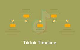 Tiktok Timeline